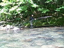 2007-07-03 150.JPG